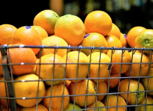 Laranja, pimentão e goiaba: alimentos campeões de agrotóxicos acima do limite