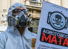 PL do Veneno avança no Senado e pode ser votado nesta terça-feira (20)