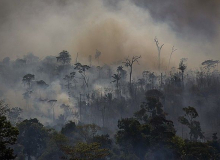 Com fiscalização via satélite, MPF já multou desmatadores da Amazônia em R$ 3,5 bi