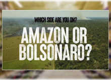 Campanha para salvar Amazônia questiona apoio de empresas a Bolsonaro