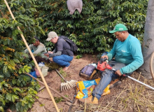 36 trabalhadores são resgatados nos estados de Minas Gerais e Piauí